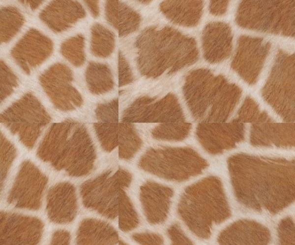 Виниловые полы Tarkett Lounge Dige Edition Benny
