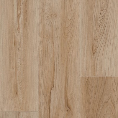 Линолеум Tarkett Club Bride 1