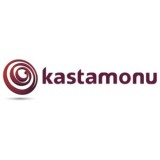Ламинат Кastamonu